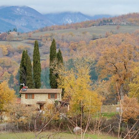 Agriturismo Mandrioli Pratovecchio Exterior photo