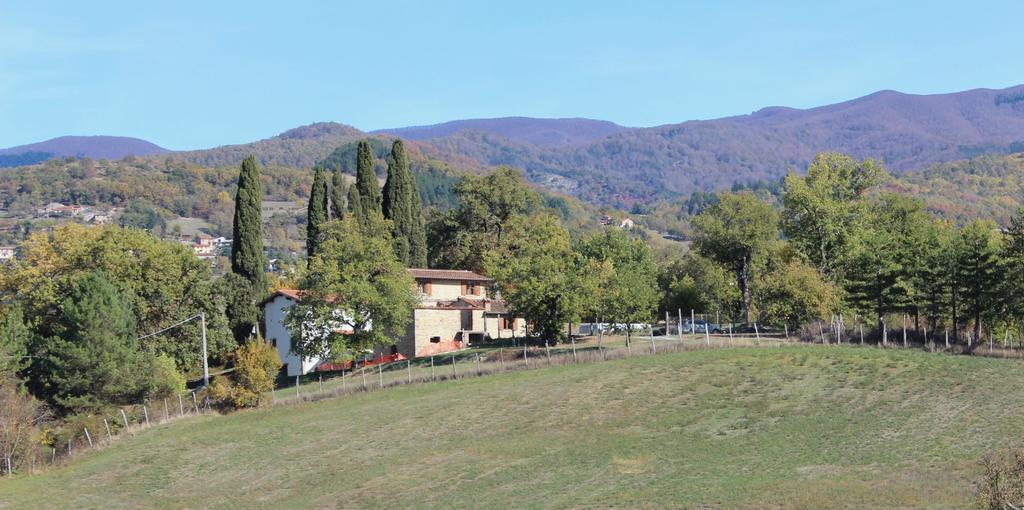 Agriturismo Mandrioli Pratovecchio Exterior photo
