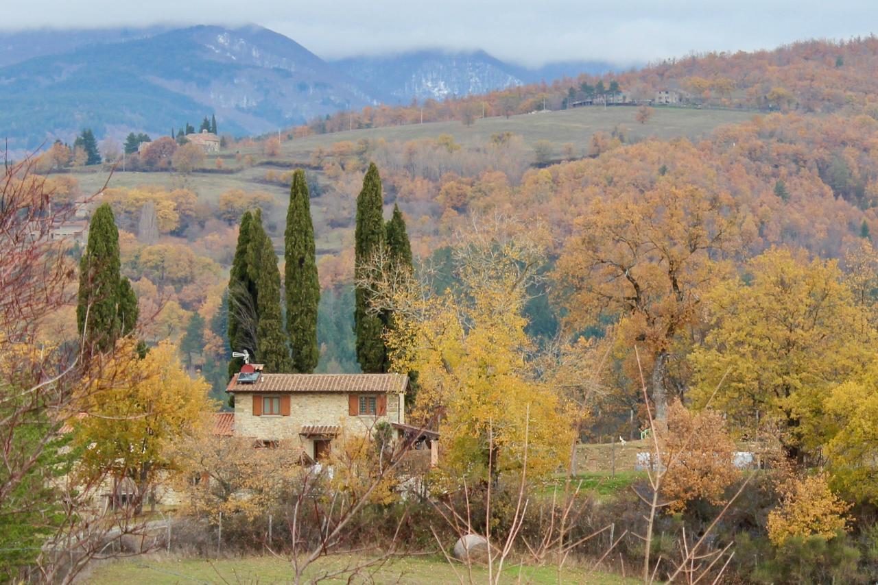 Agriturismo Mandrioli Pratovecchio Exterior photo